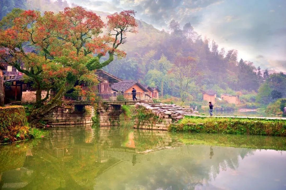 正式签约！福州罗源这座古桥将有新面貌