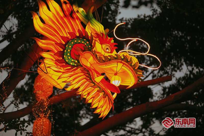 鲤城大动作 古城夜景亮了