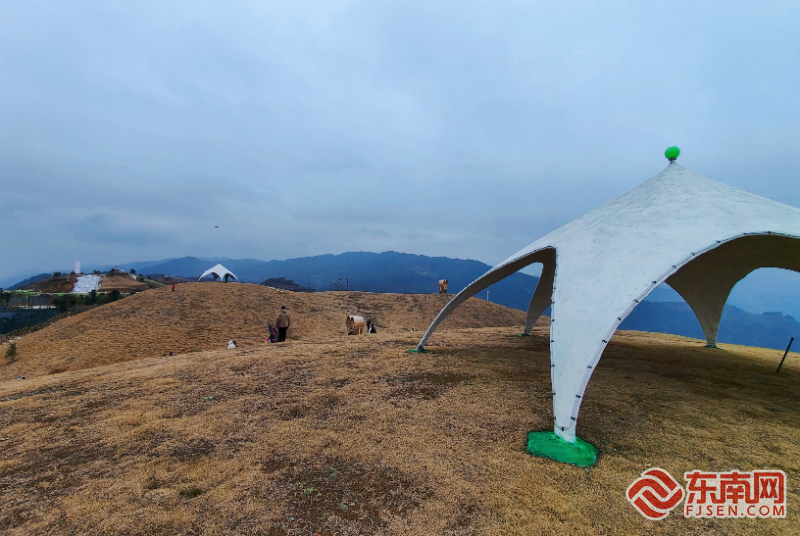 新春走基层丨宁德柘荣：年味渐浓迎新春 文旅融合促发展