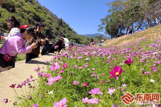 漳州诏安：春光无限好 旅游正当时