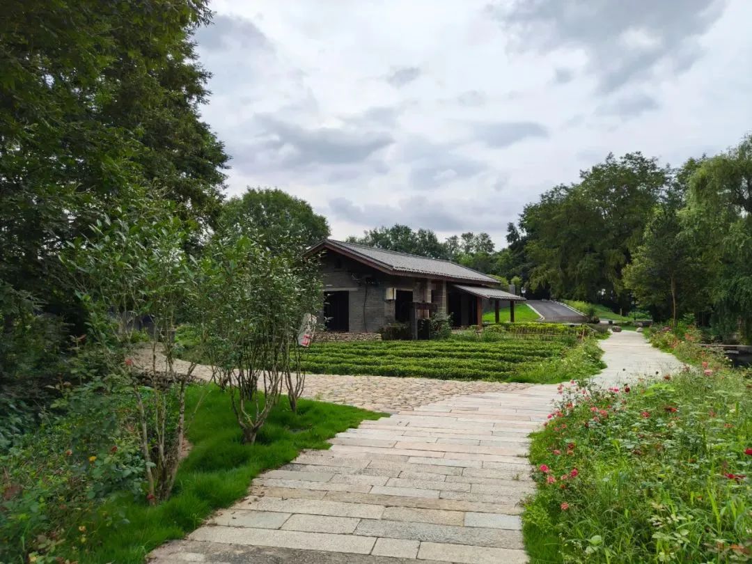 春来万象新 南平文旅市场“生龙活虎”