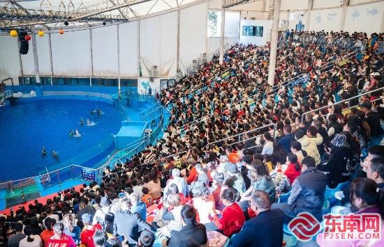 31.63亿元！漳州春节文旅市场“热辣滚烫”
