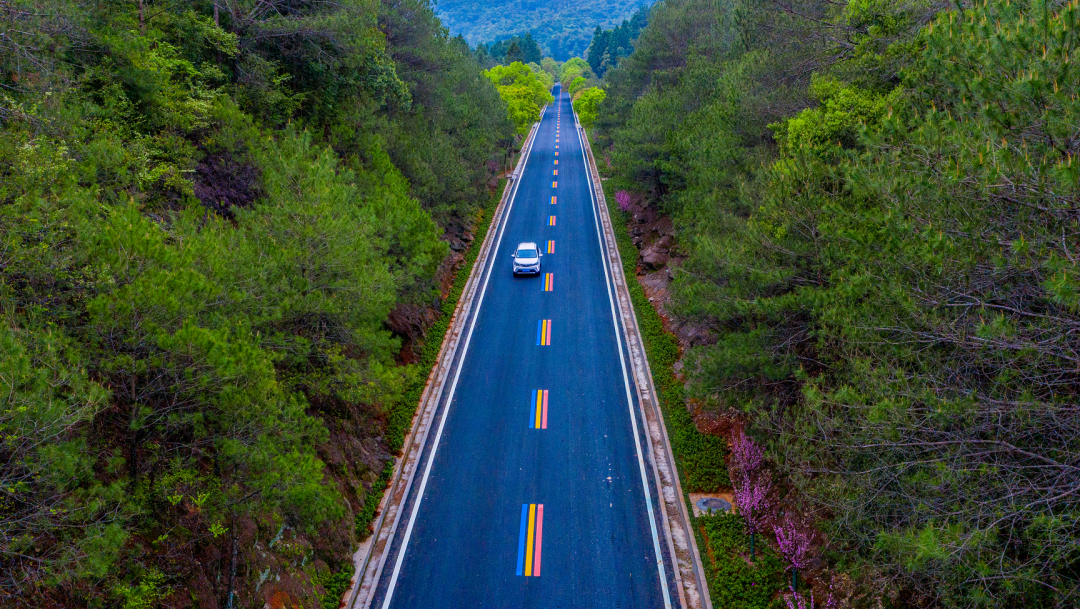 春来万象新 南平文旅市场“生龙活虎”