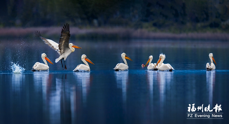 游多彩罗源 过幸福吉祥年