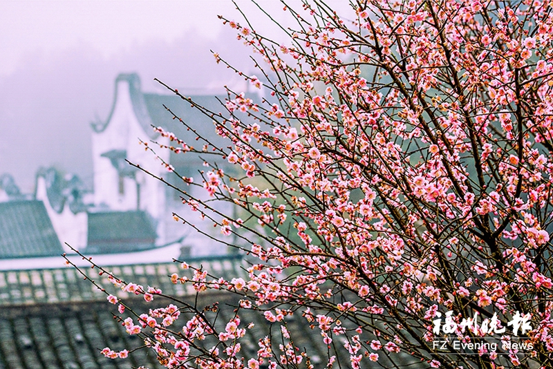 福聚晋安新春游“上大分” “五福”系列特色活动、精品线路等发布