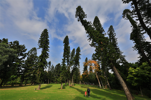 我省新增1家国家5A级旅游景区