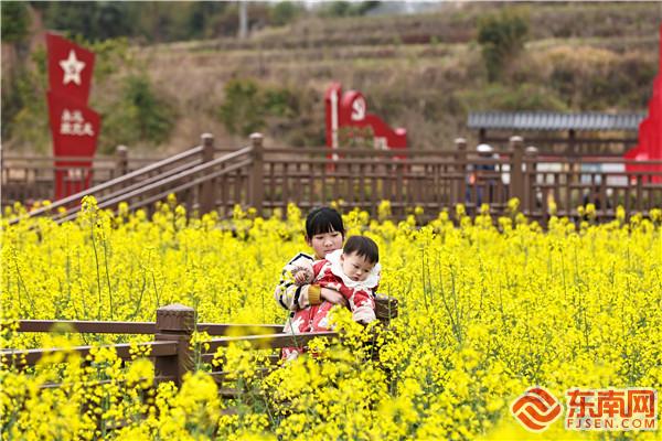 三明宁化：花开红色土地“遍地金”