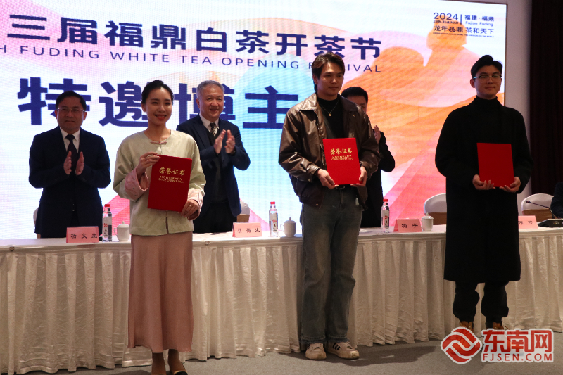 全新玩法展示茶文化 宁德福鼎开茶节精彩纷呈