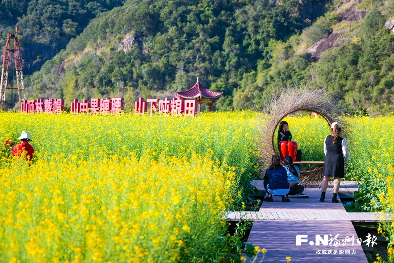 赏花经济催热乡村旅游——福州永泰拓场景延链条做活做大“花文章”