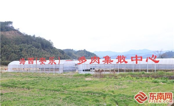 四领一促丨三明：生态领向 文旅融合促发展
