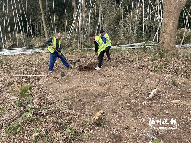 福州福清南少林周边考古调查勘探启动 曾出土大量珍贵文物