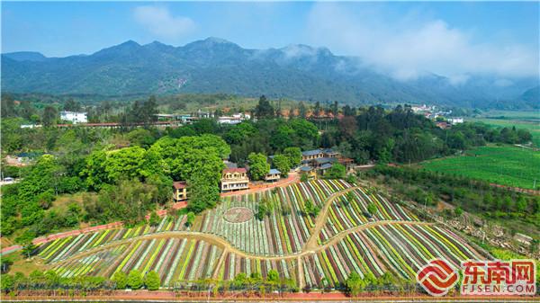 四领一促丨三明：生态领向 文旅融合促发展
