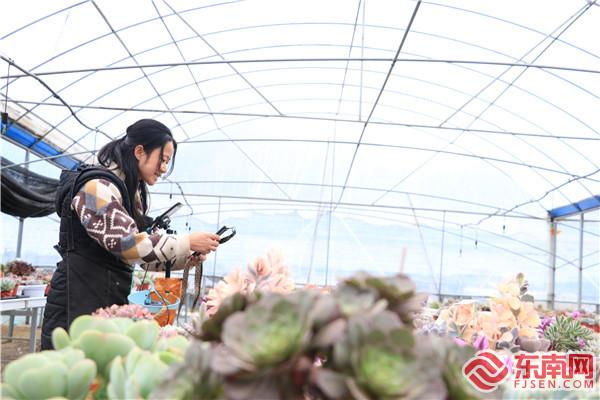 四领一促丨三明：生态领向 文旅融合促发展