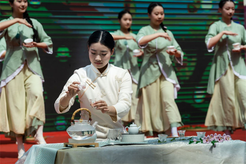 2024年全国“四季村晚”示范展示点穆云畲乡虎头村春季“村晚”活动——第十三届（中国·福安）穆云畲乡桃花节顺利开幕