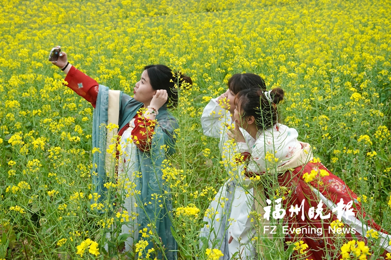 福州​罗源县中房镇第二届桃花文化旅游节开幕