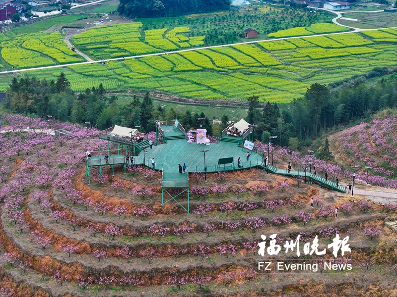 福州​罗源县中房镇第二届桃花文化旅游节开幕