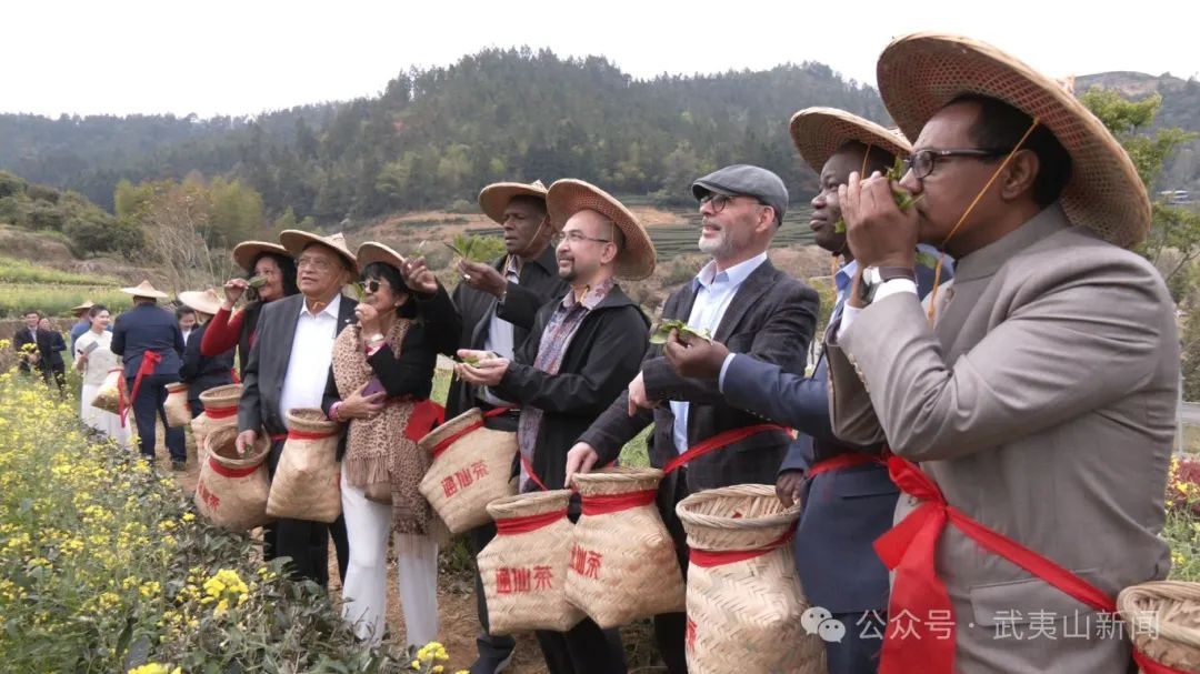 “外交官看中国福建行”活动走进武夷山