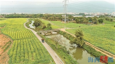 厦门集美区：乡村文旅之“春”生机盎然