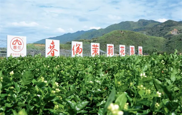 第三批“中华老字号”名单公布！福建9家非遗相关企业入选