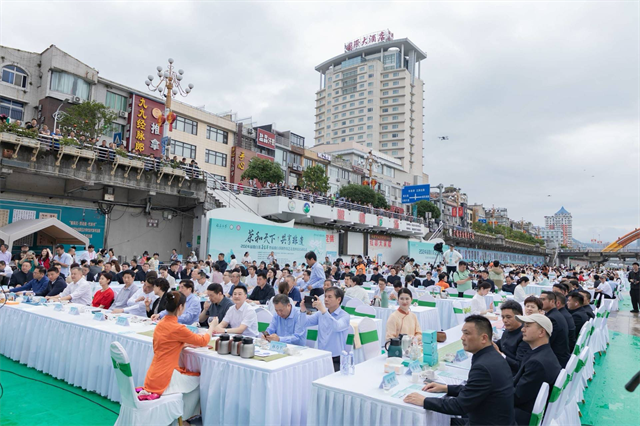 茶和天下 共享非遗——2024福鼎白茶茶王赛暨福鼎白茶制作技艺走进西安正式启动