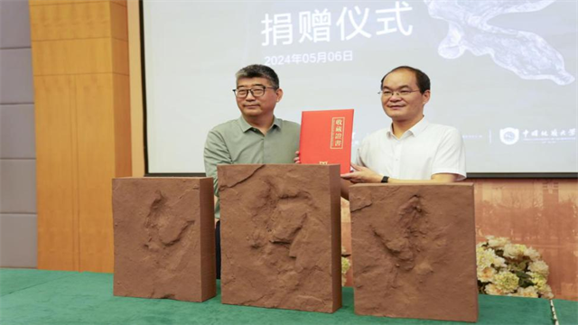 福建发现全球最大的恐爪龙类足迹 翻模标本入藏福建博物院
