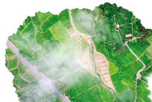 茶韵里的诗意栖居