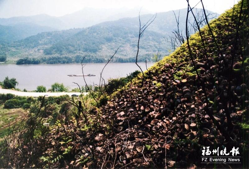 福州高新区碗窑山遗址再现宋代美学