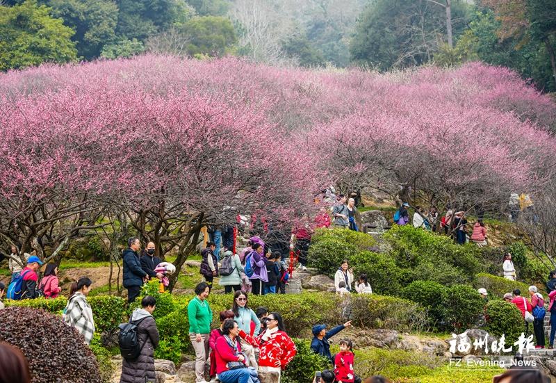 福州春游经济 万紫千红总是春