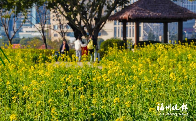 福州春游经济 万紫千红总是春
