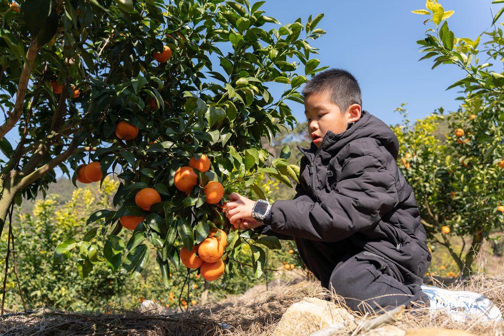 闽侯唯一的福建省“金牌旅游村” 大目溪梦里水乡康养胜地