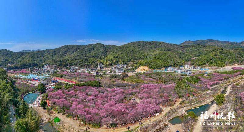 福州春游经济 万紫千红总是春