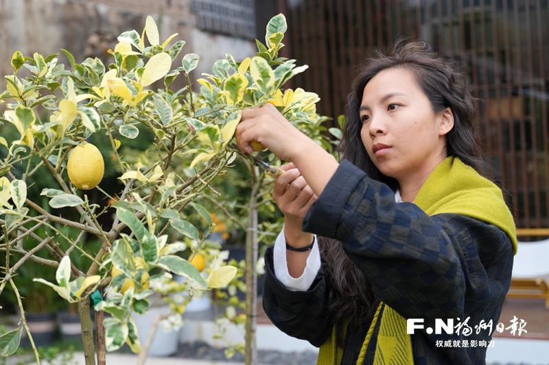 嵩口古镇靠什么留住年轻人？