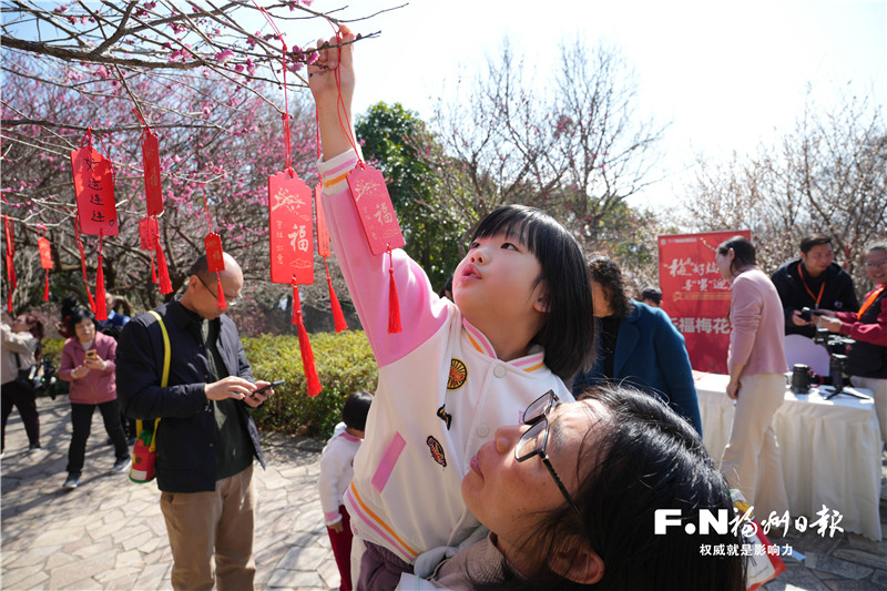 【网络中国节·春节】鼓山梅里沉浸式剧本游活动举行