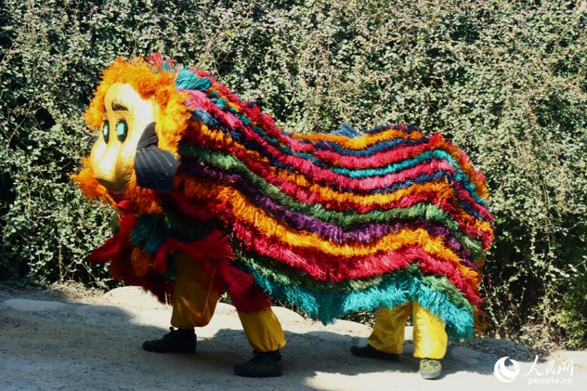 百年萌狮闹新春 千年古镇更精神