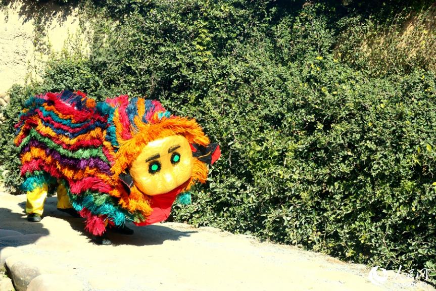 百年萌狮闹新春 千年古镇更精神