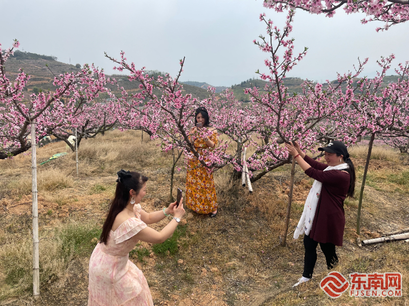 宁德古田：以“花”为媒 “美丽经济”踏春来