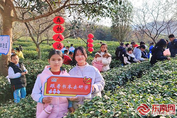 龙岩武平：一片叶子富一方百姓 茶旅融合促振兴