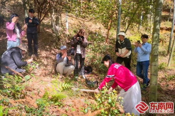 三明泰宁：农旅融合助力乡村释放多元活力