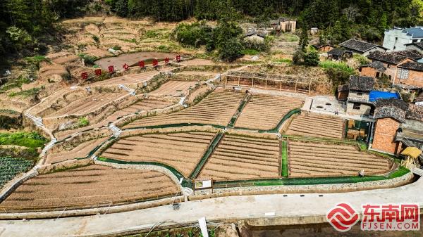 三明泰宁：农旅融合助力乡村释放多元活力