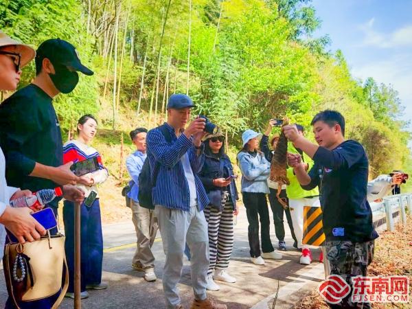 三明泰宁：农旅融合助力乡村释放多元活力