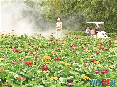 乐动厦门精彩“五一” 多个公园景区开启“假日模式”