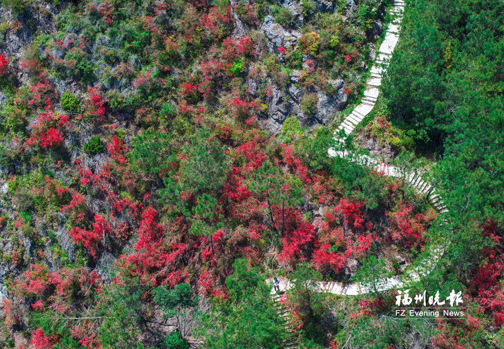 福州闽侯岭头村：四季有景 全域皆游