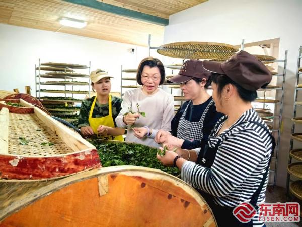 三明泰宁：茗香两岸 情满海峡