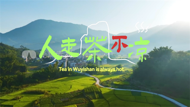 福建茶文化宣传片《人走茶不凉》荣获虎啸奖金奖!