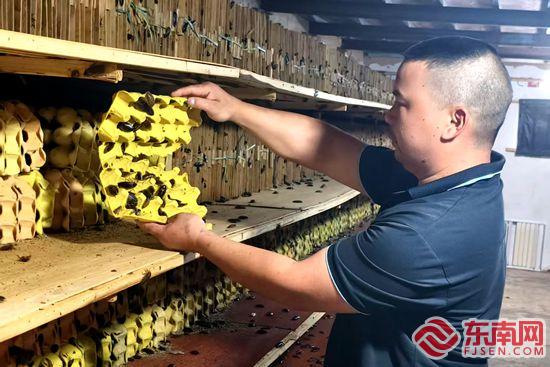 奏响振兴强音 漳州台商区沙洲村农文旅融合书写文明新篇