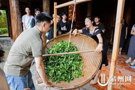 暑期泉州推出百项文旅优惠措施 助力学生畅游世遗之城