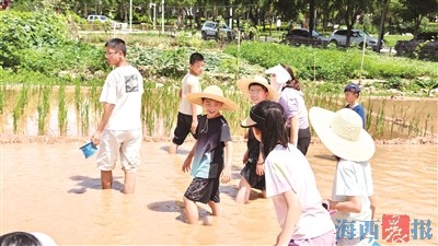 2025海沧里·夏日乡村嘉年华暨农耕研学之旅活动将举办