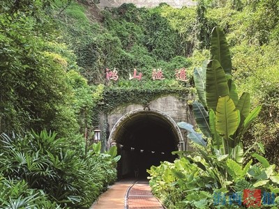 穿梭绿意之间感受清凉时光 盘点厦门夏日避暑好去处