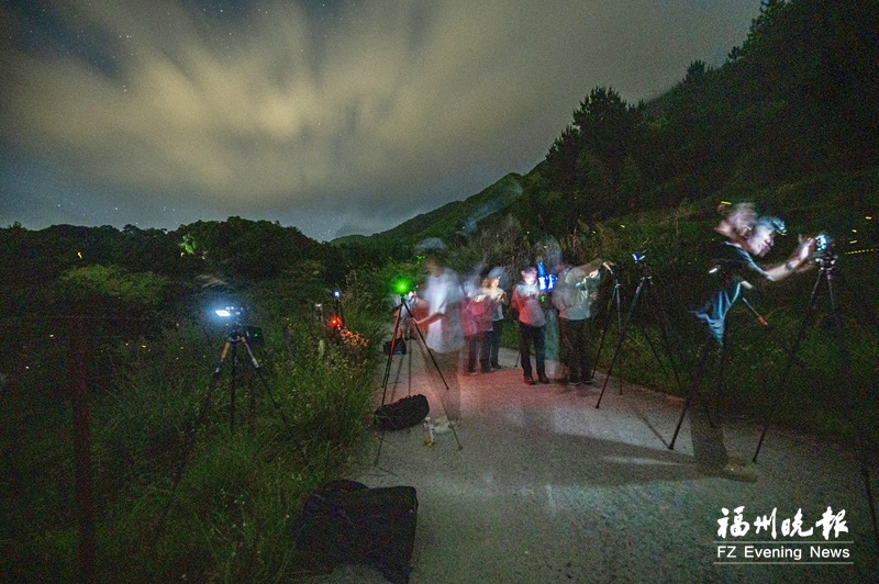 萤火虫点亮梦幻仲夏夜 福州闽侯岭头村“萤火虫海”吸引大量游客