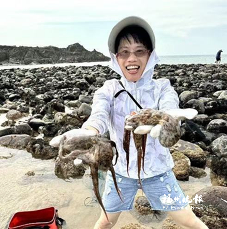 马祖掀起赶海热
